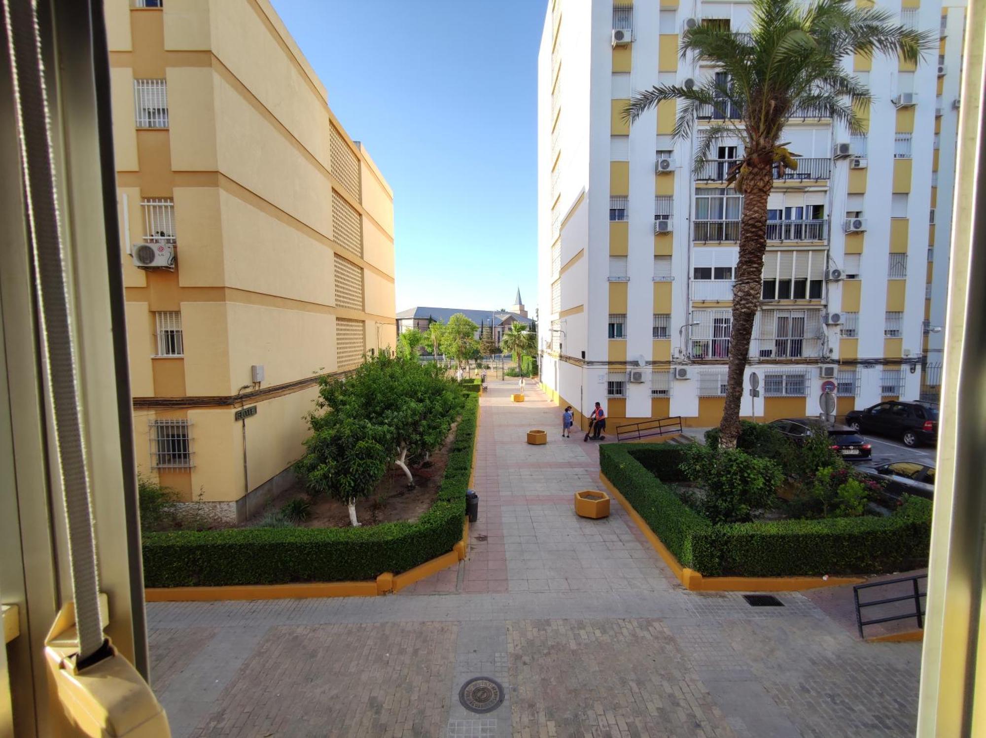 Apartamento Celia เซบีญา ภายนอก รูปภาพ